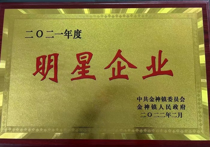 祝公司荣获镇政府明星企业